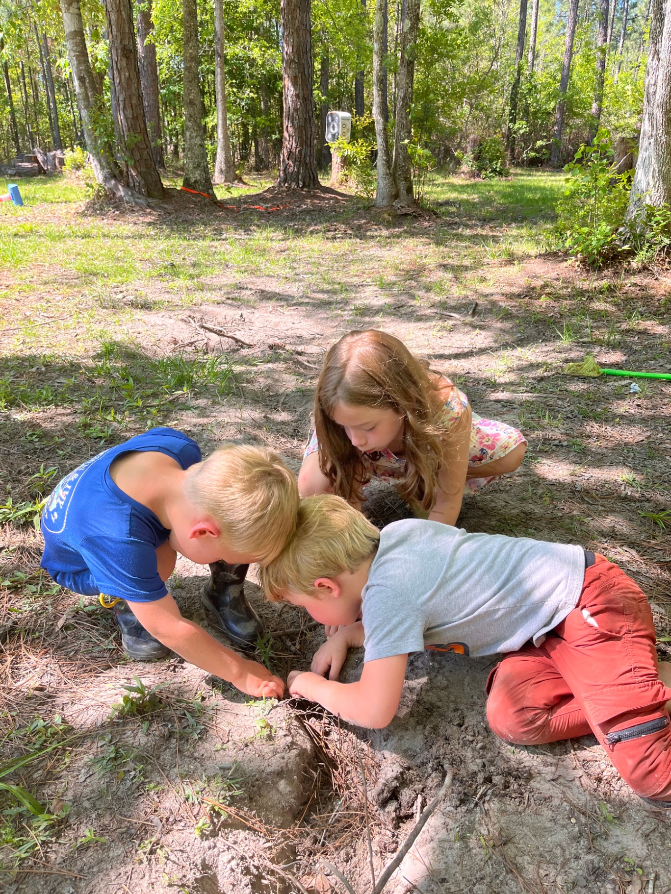 Children exploring together outdoors in the woods