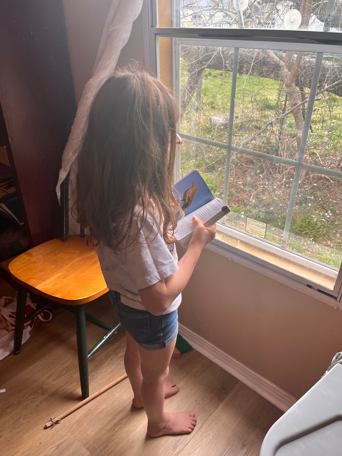 A child reading quietly by the window with woods outside